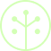 BranchNet
